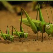 The Grasshopper Who Didn T Know How To Leap Minuscule 40 Compilation