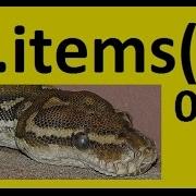 Python Dictionary Items Method In A For Loop