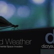 Dizzy DZ Cold Weather