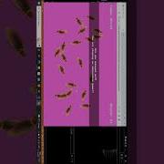 Catch The Insect Game Using Html Css And JavaScript JavaScript Tutorial Shorts Programming