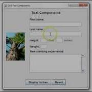 Java GUI Text Components