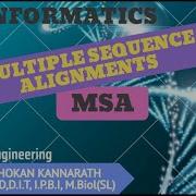 Multiple Sequence Alignments MSA