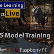 5 Working On Tensorflow Image Classification With Transfer Learning Training