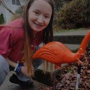 Schuylerville High School Class Of 2020 Flamingo Flocking Version 2