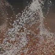 Multi Physics Dance Simulation On GPU