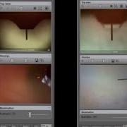 NaioAFM Tutorial 2 Basic Operation