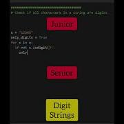 Junior Vs Senior Developer Coding Programming Python Shorts