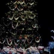Nutcracker 2010