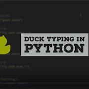 Python Tutorial 60 Duck Typing In Python Quack Quack