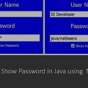 Hide And Show Password In Java Using Netbeans With Source Code