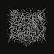 Bound To Suffer