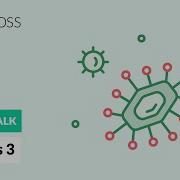 Viruses Part 3 Viral Replication Process