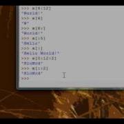 Python Tutorial 9 Indexing Slicing Part 2