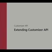 Extending Customizer API
