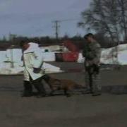 MWD Kimba Bite Work