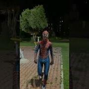 YAKIŞMADI SPİDERMAN ÖRÜMCEK ADAM Shorts