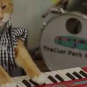 KEYBOARD CAT 96 TEARS 2014