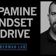 Controlling Your Dopamine For Motivation Focus Satisfaction