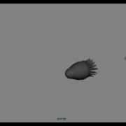 Jellyfish WIP