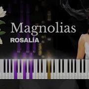 Magnolias Rosalía FÁCIL I Piano Tutorial