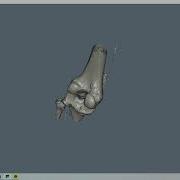 VTK Example ReadSLC Python