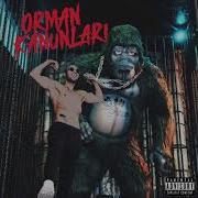Ben Fero Biladerim İçin Official Audio