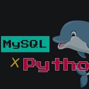 Create A MySQL Database Using Python 2MinutePy