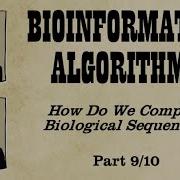 Space Efficient Sequence Alignment