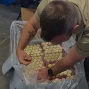 EDNA Sample Shipment Procedures