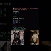 99 Fail This Python Question List Copy Trick Python Shorts Pythonchallenge Learnpython