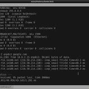 Linux Basic Networking Commands Using Fedora