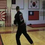 Tang Soo Do Form 5 Pyong Ahn Ee Dan