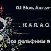 КАРАОКЕ DJ Slon Ангел А Все дельфины в ураган сделано в студии KARAOKE BASE CLUB