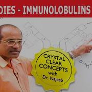 Antibodies Immunoglobulins Structure Function Part 3