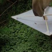 Sweep Net Demonstration