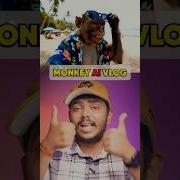 How To Make Monkey Vlog With Ai Monkey Vlog Kaise Banaye Aivlog Monkey
