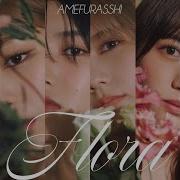4 Petals