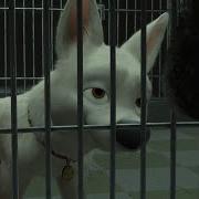 Bolt Rescuing Mittens 2008