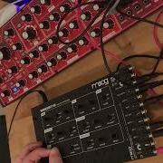 Moanorgian Neutron Moog Werkstatt 01 Jam Self Playing Generative Patch Noise Ambient