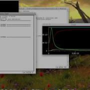 Lab 11 Rutherford Scattering