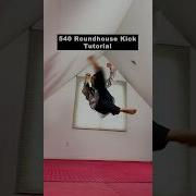 540 Roundhouse Kick Tutorial Shorts Martialarts Taekwondo