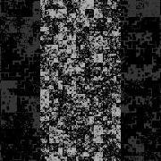 Animation Done With Processing