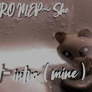 LPS Pro MEP She Closed