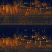 See What Birdsong Looks Like Real Time Stereo Spectrogram