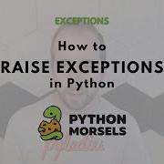 Throwing An Exception In Python