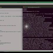 ShellShock Exploit