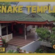 Penang Malaysia Snake Temple