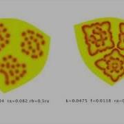 Reaction Diffusion Simulation On Manifolds