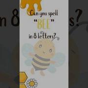 Can You Spell BEE In 8 Letters