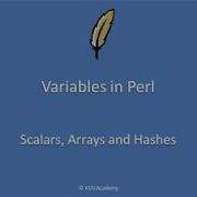 Perl Lec1 Defining Variables In Perl Scalars Arrays And Hashes In Perl